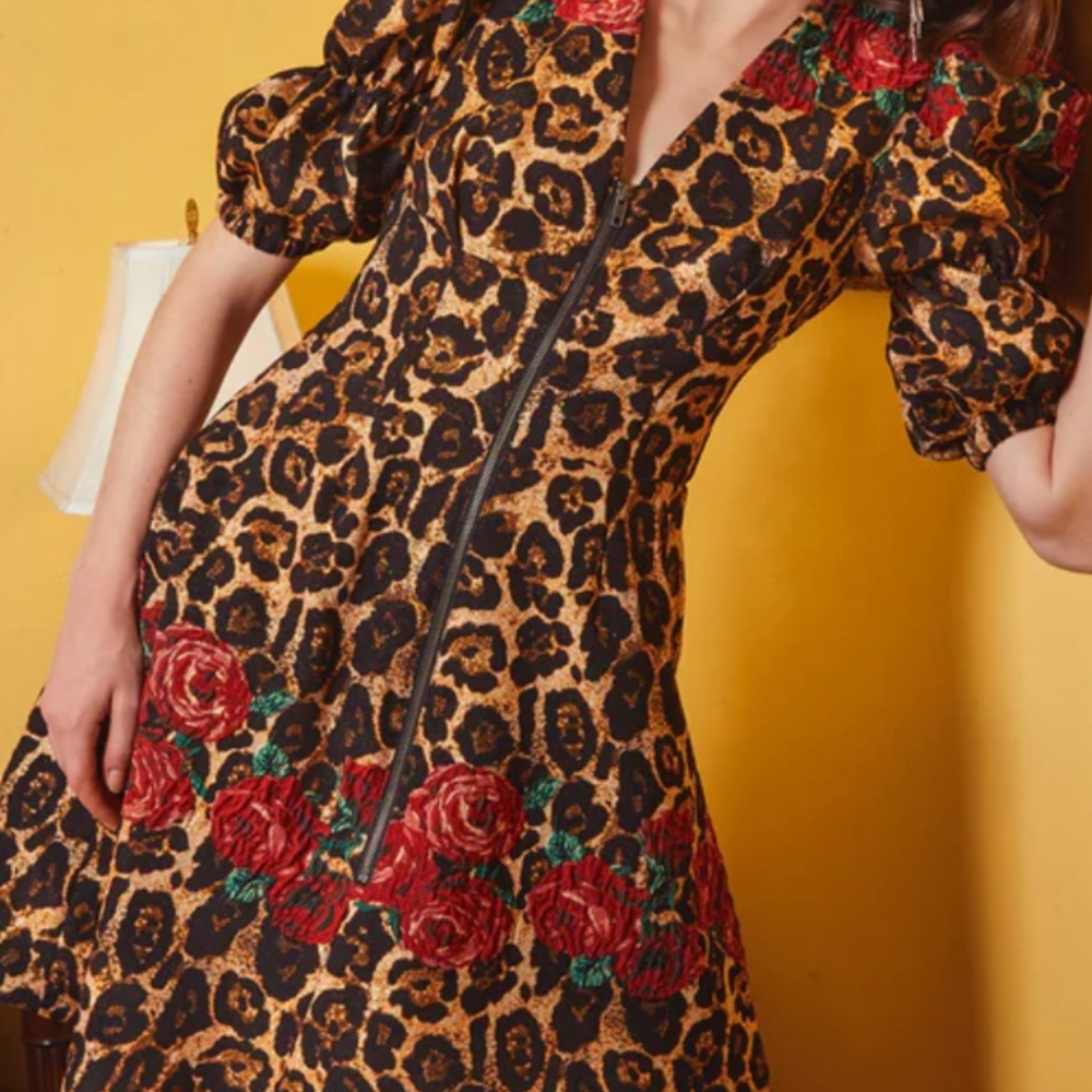 Autumm  Adeigbo Leopard Print Dress with Red Floral Accents